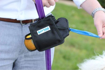 PACK-N-GO BAG