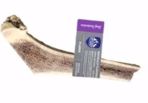 Beef Red Tail Deer Split Antler XL