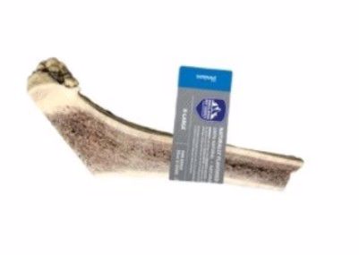 Venison Red Tail Deer Splint Antler XL