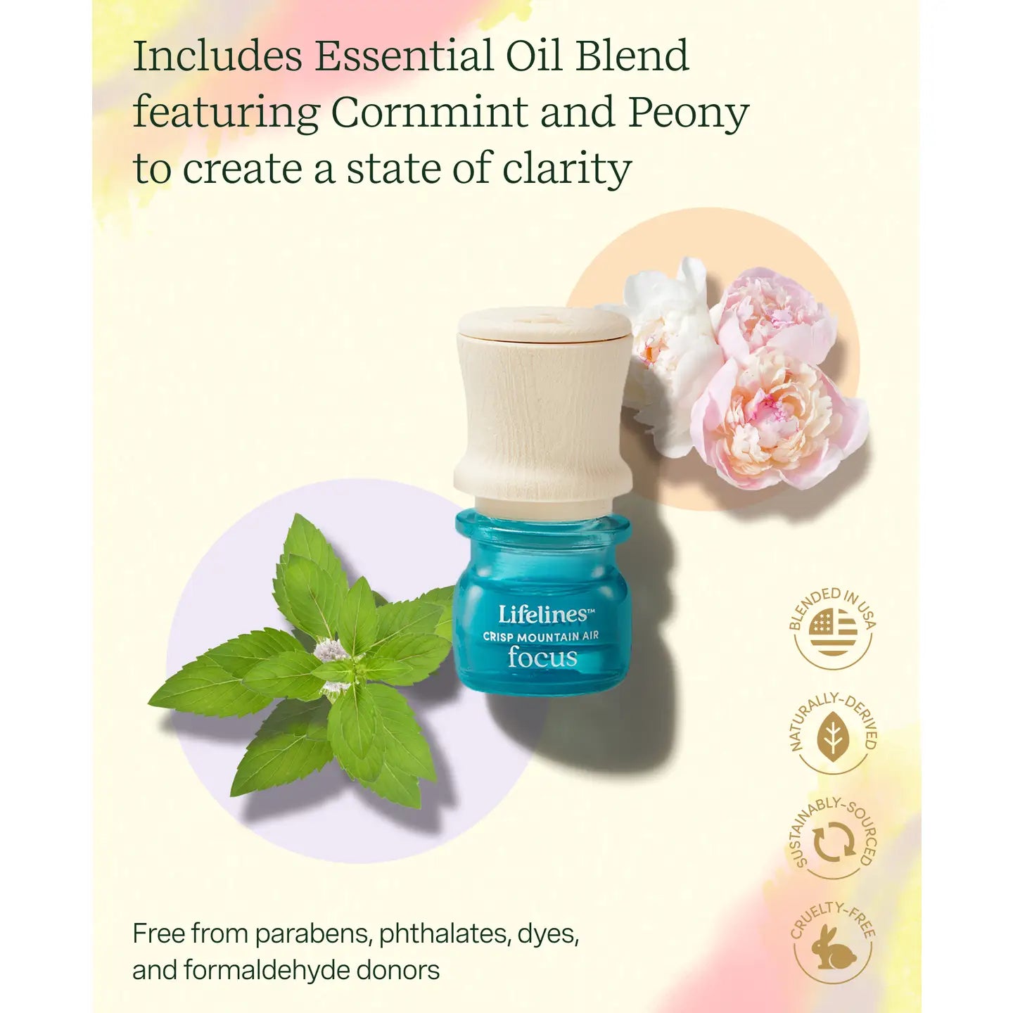 Grounding Stone - Fidget Collection