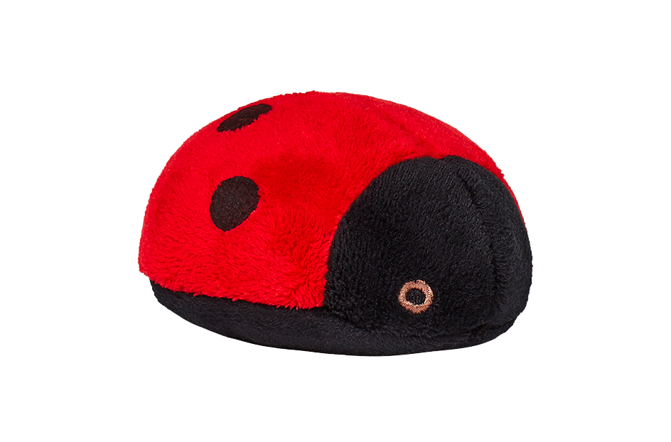 Lady Bug