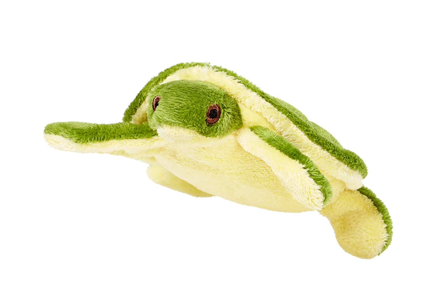 Shelly Turtle