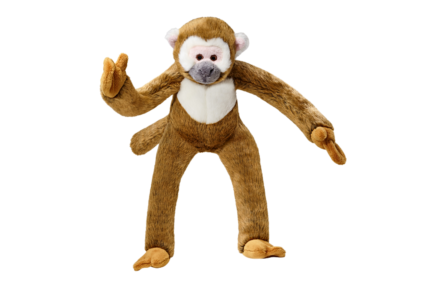 Albert Monkey