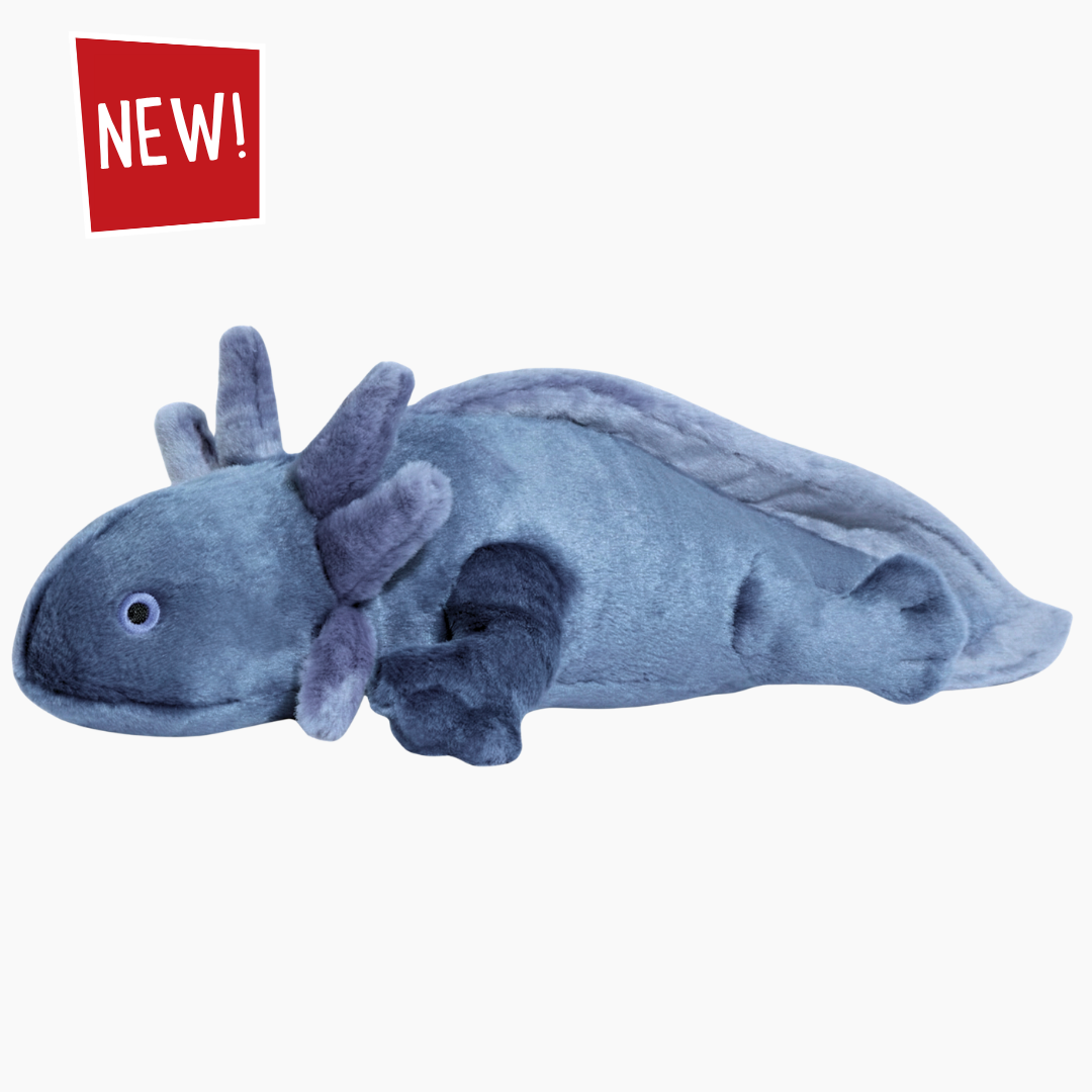 Millie Axolotl