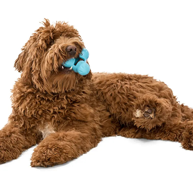 Tux® Puzzle Treat-Dispensing Slow Feeder Dog Toy (Tangerine Orange)