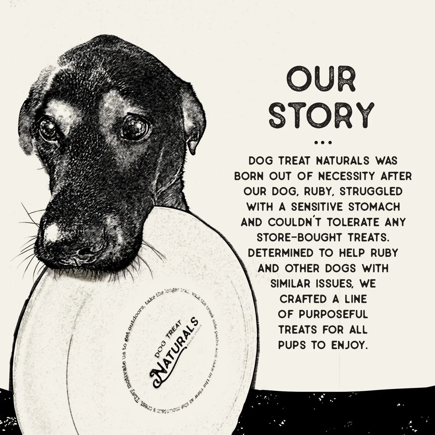 Chickpea & Ginger Dental Sticks 20ct