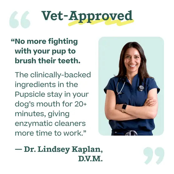 WOOF Pupsicle Treat Mix - Dental