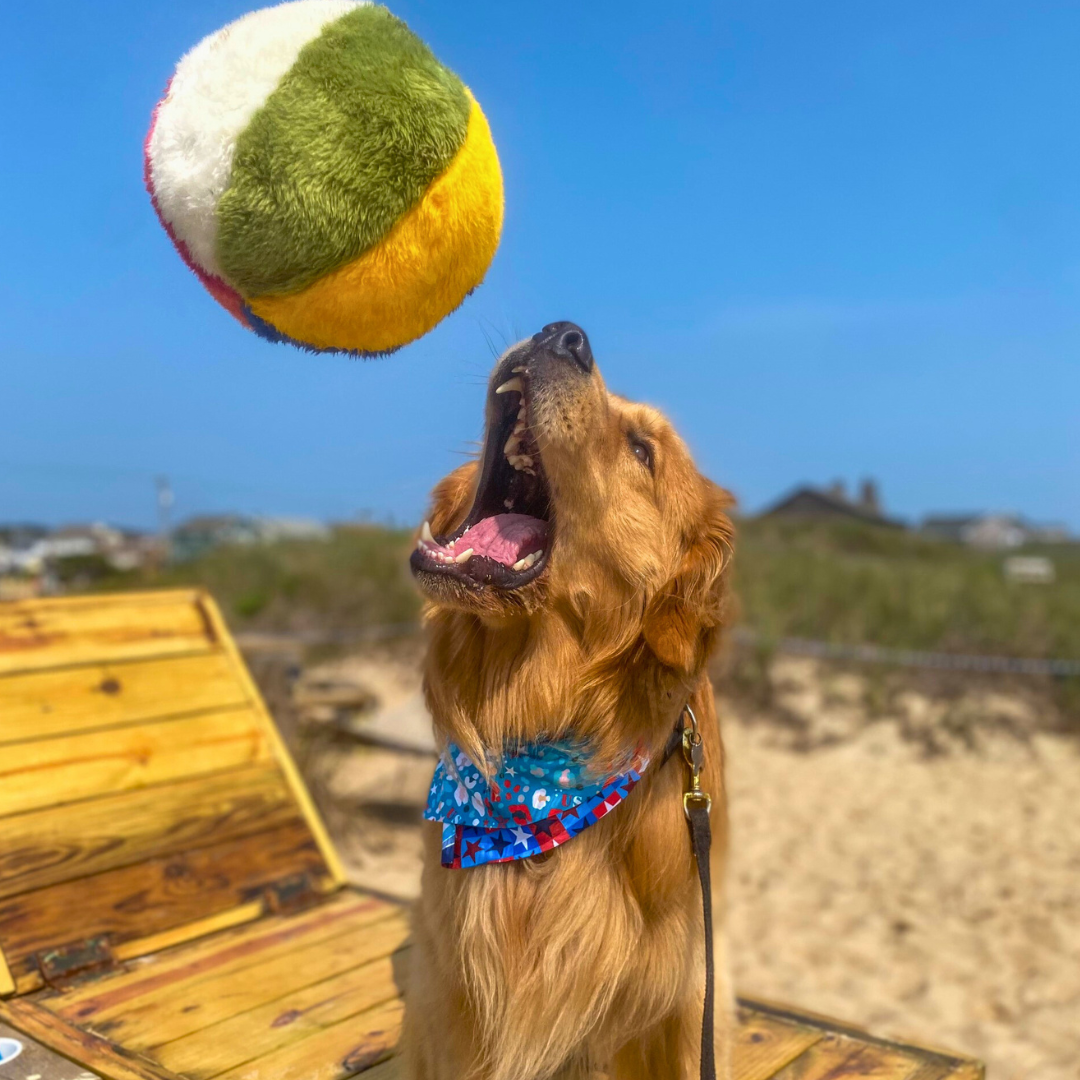 Beach Ball