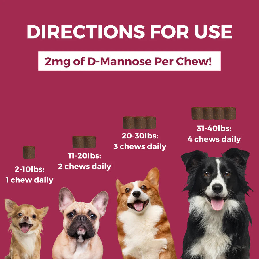 Progility Urinary Support Mini Soft Chews for Small to Medium dogs 60ct