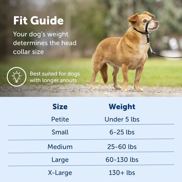 PetSafe Gentle Leader® Headcollar, No-Pull Dog Collar