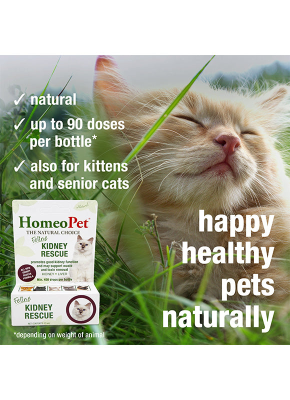 HomeoPet FELINE KIDNEY RESCUE