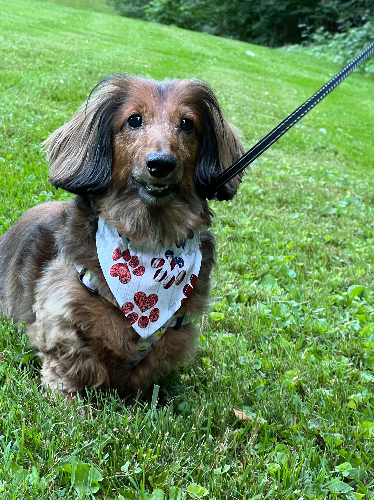 "Red, White, & Blue Paws" Handmade Bandana (Over the Collar)