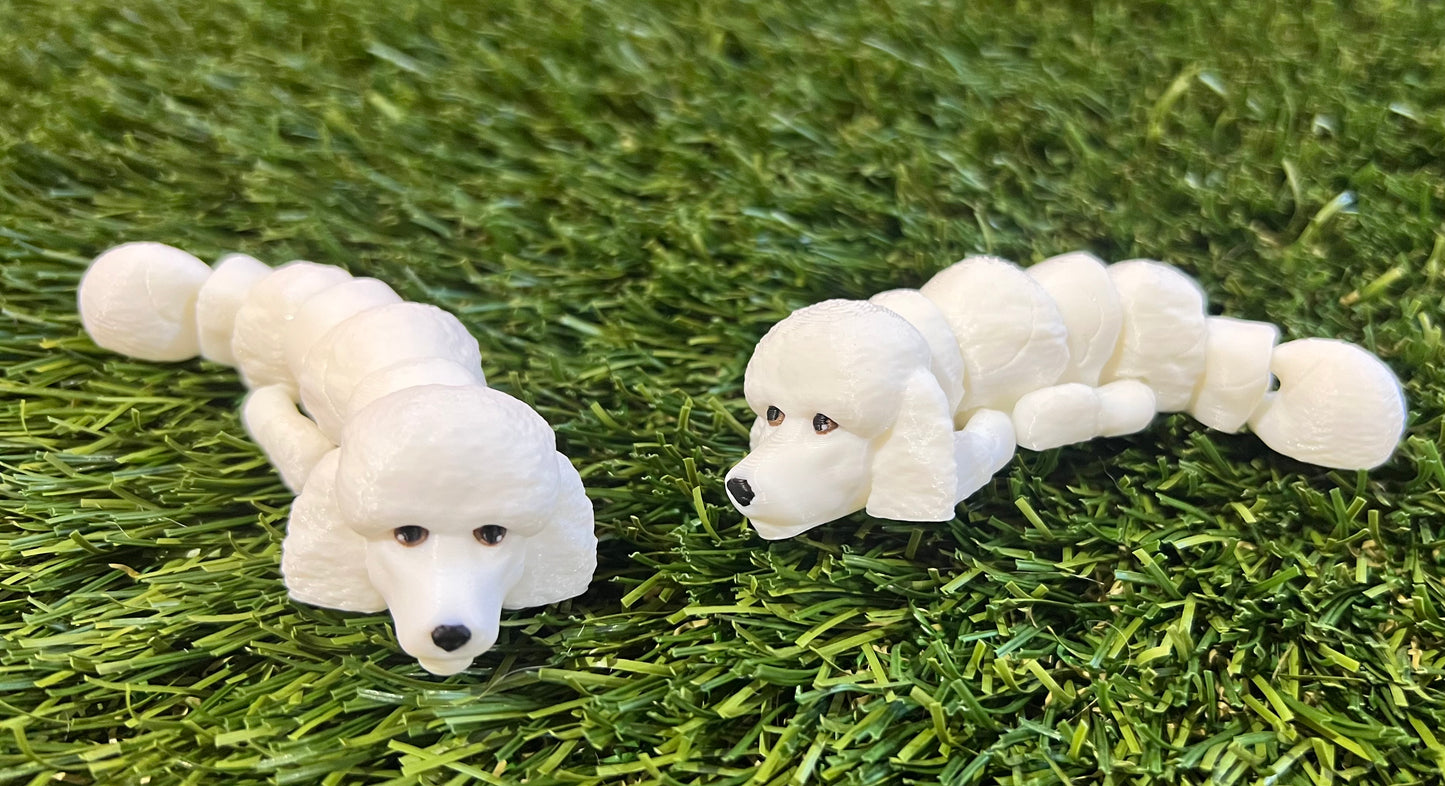 Adopt A Pet - DOG Flexi (Bundle and Save 5 for $20)