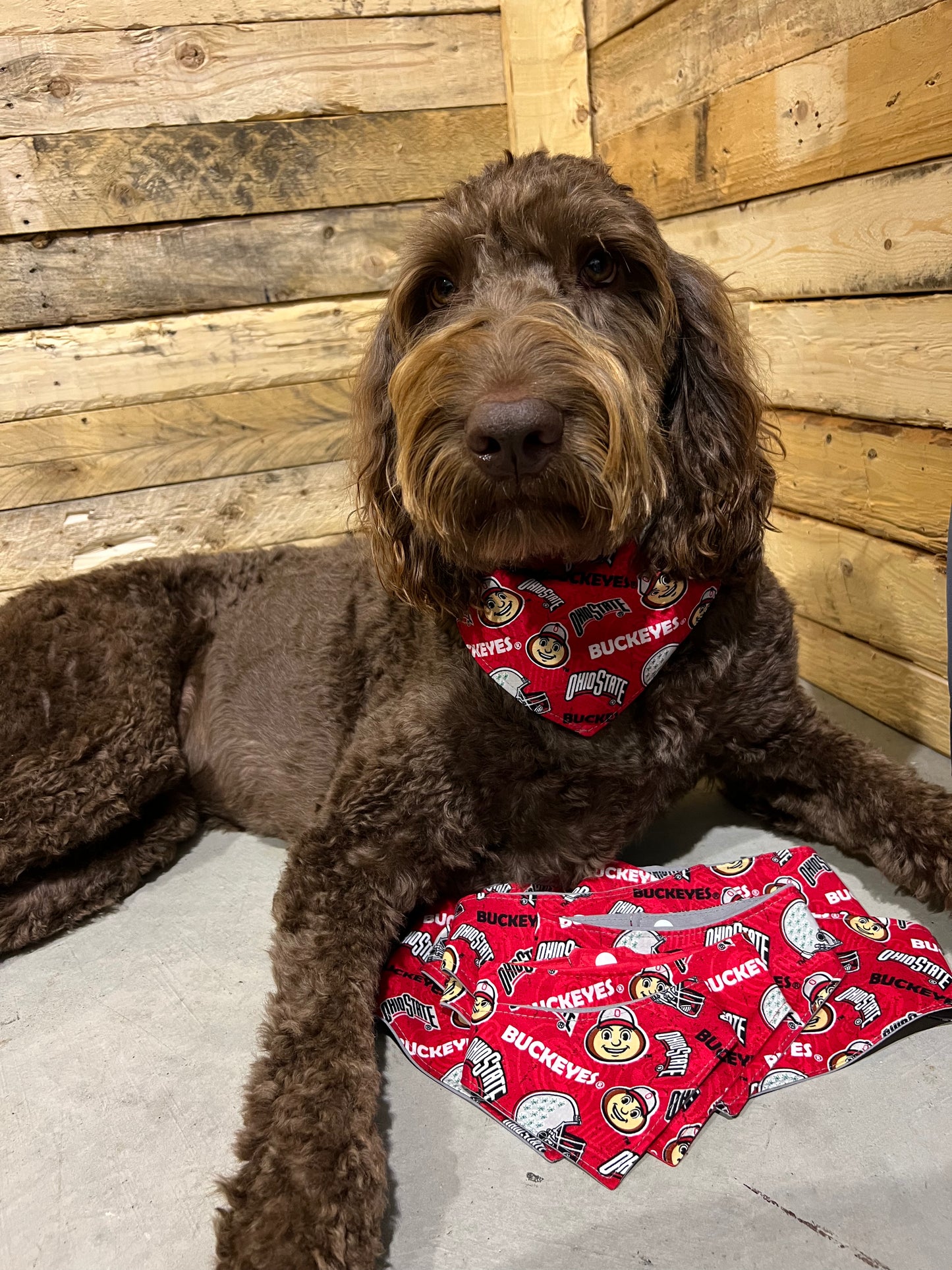 "Ohio State" Handmade Bandana (Snap)