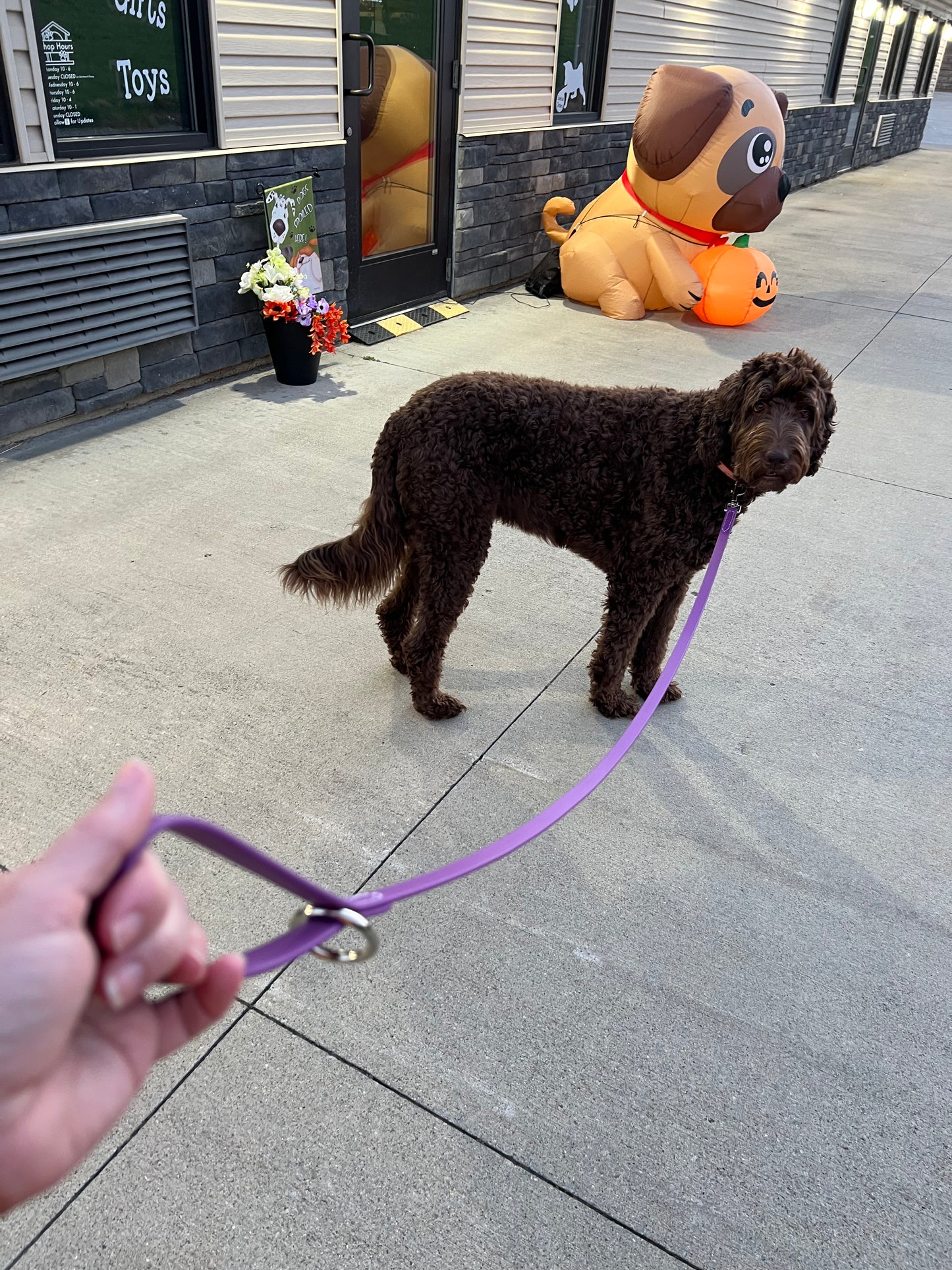 Amish Handmade Beta BioThane 3/4" by 6ft Leash