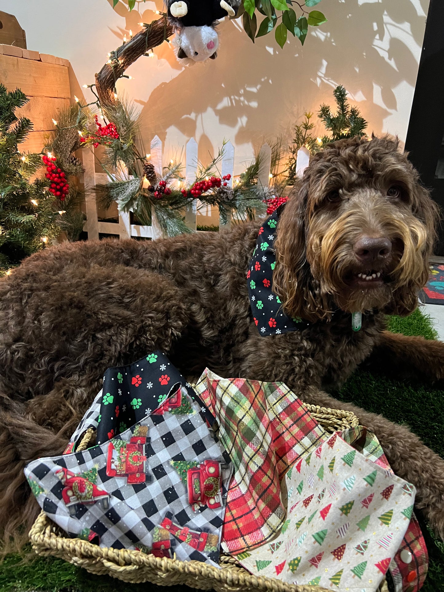 "Christmas Truck" Handmade Bandana (Reversible - Snap)