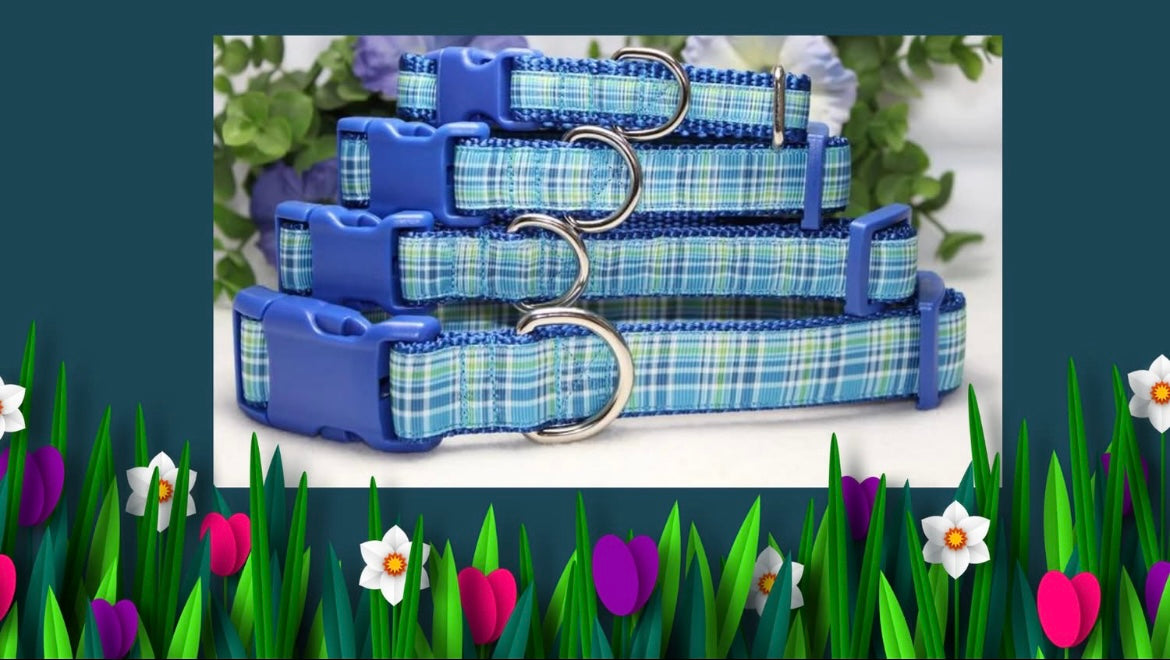 Trendies Blue Green Plaid Dog Collar