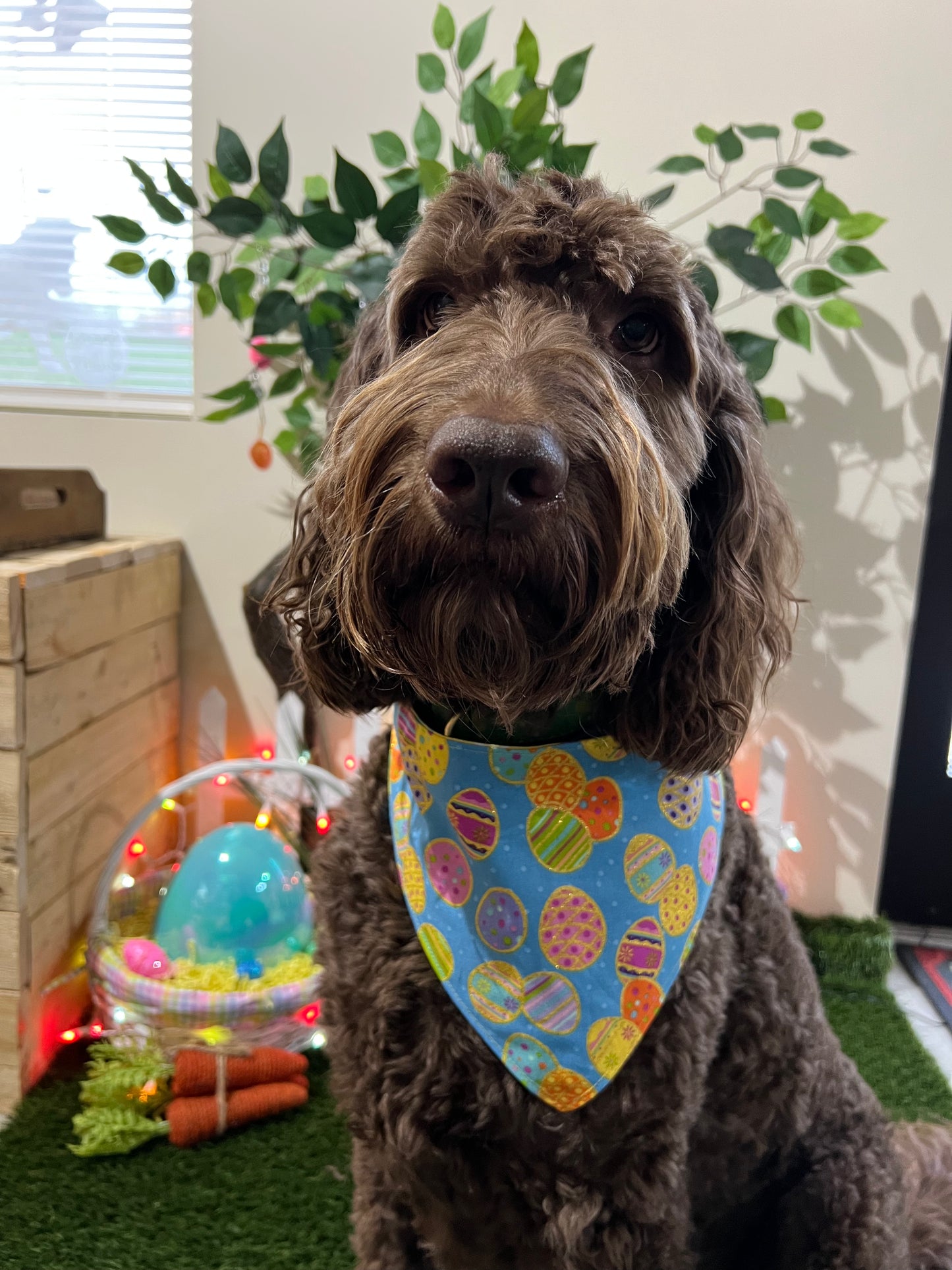 "Easter Eggs & Paws" Handmade Bandana (Reversible - Snap)