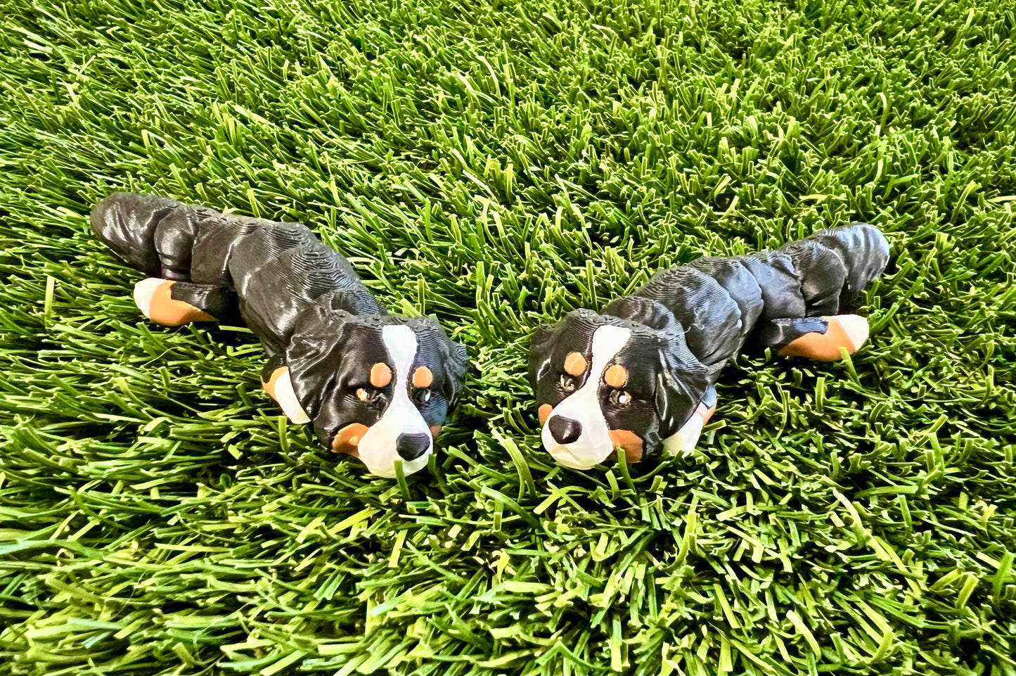 Adopt A Pet - DOG Flexi (Bundle and Save 5 for $20)