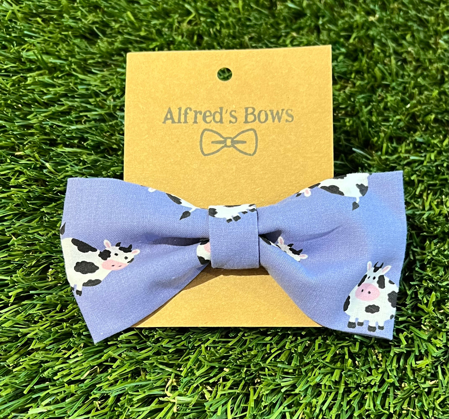 Alfred's Bows Holy Cows Medium Bow