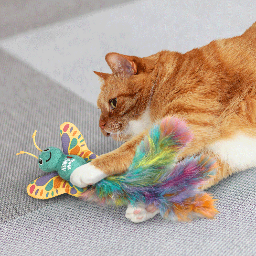 Cat Wubba Butterfly