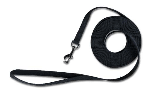 Kool Kotten Training Lead 15' Black