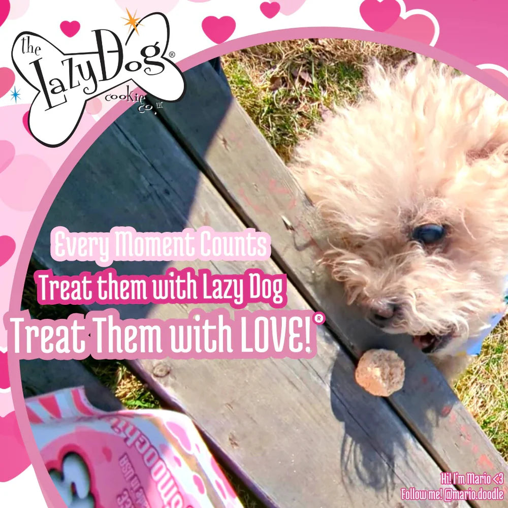 Lazy Dog Mutt Mallows Strawberry Smoochies Dog Treat