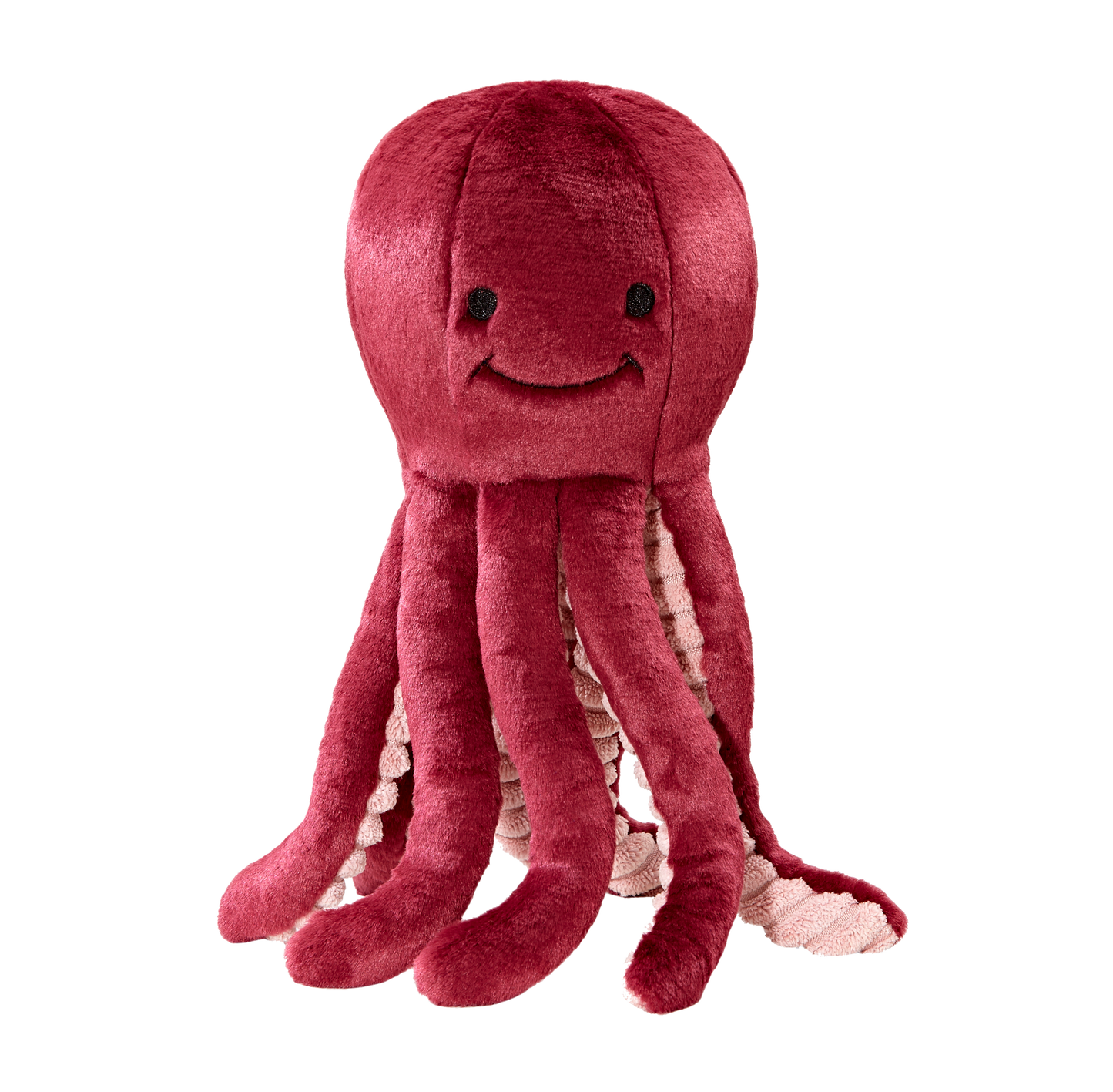 Olympia Octopus