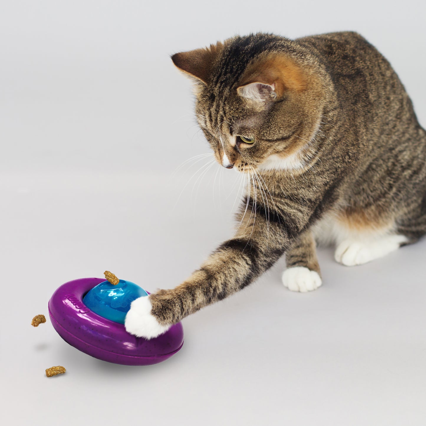 Kong INFUSED CAT GYRO