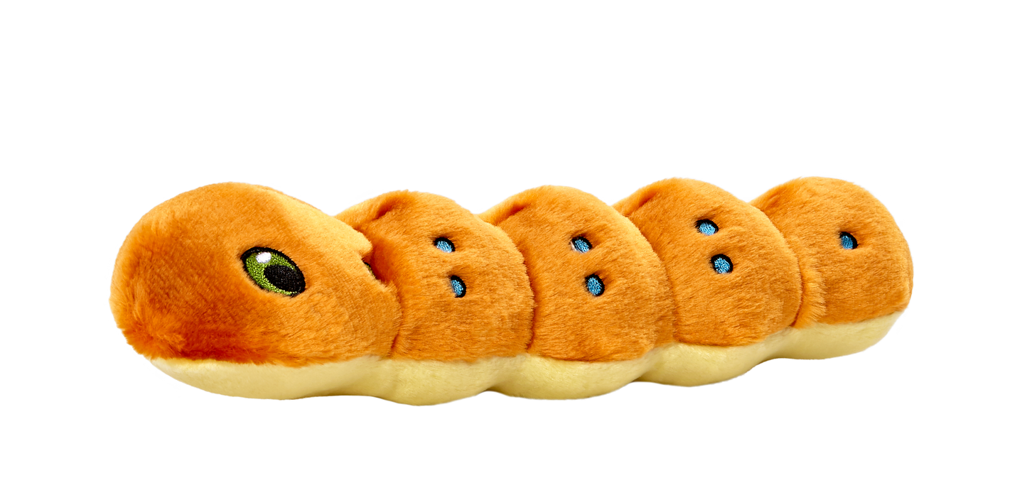 Spicy Caterpillar