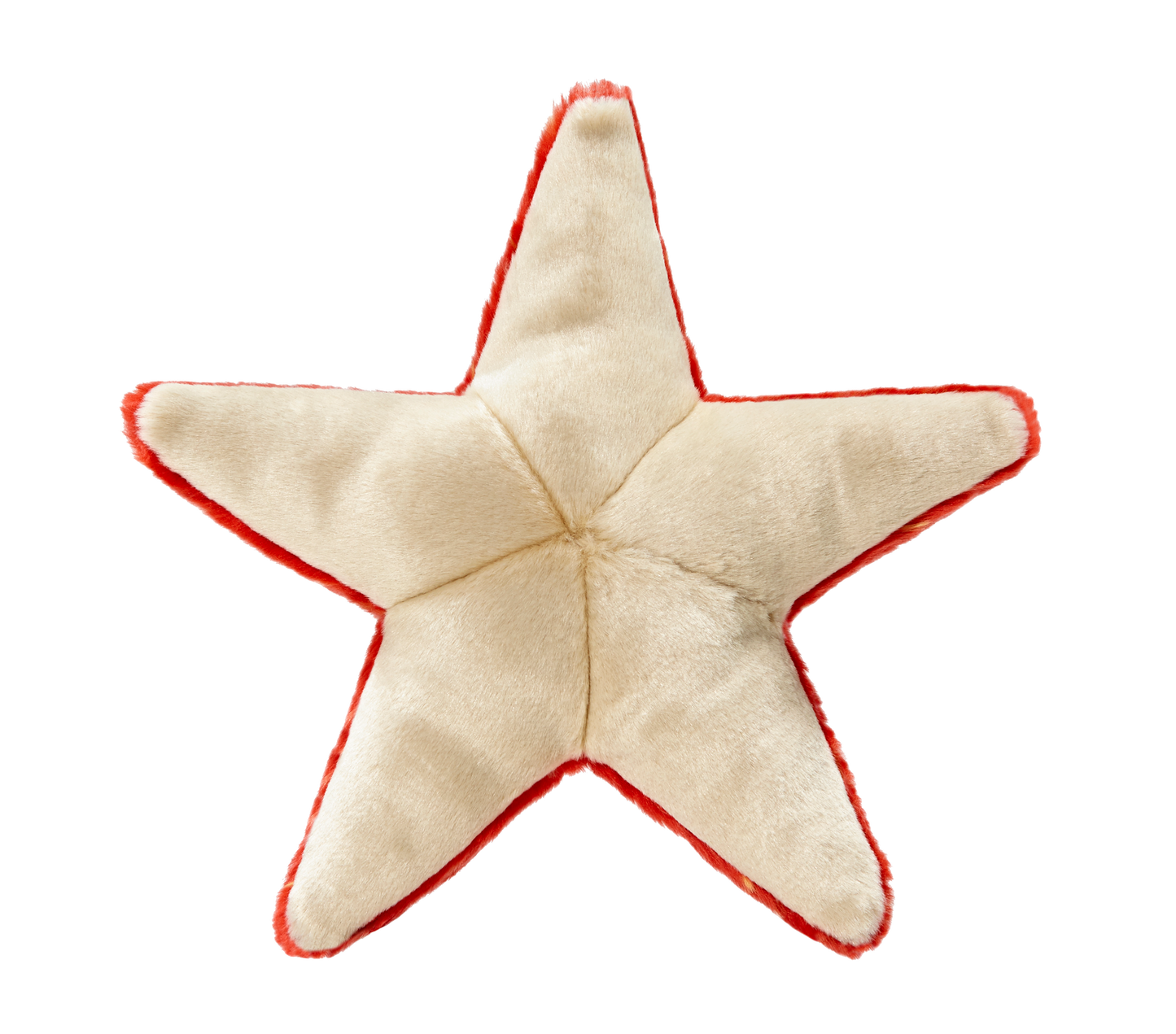 Ziggy Starfish