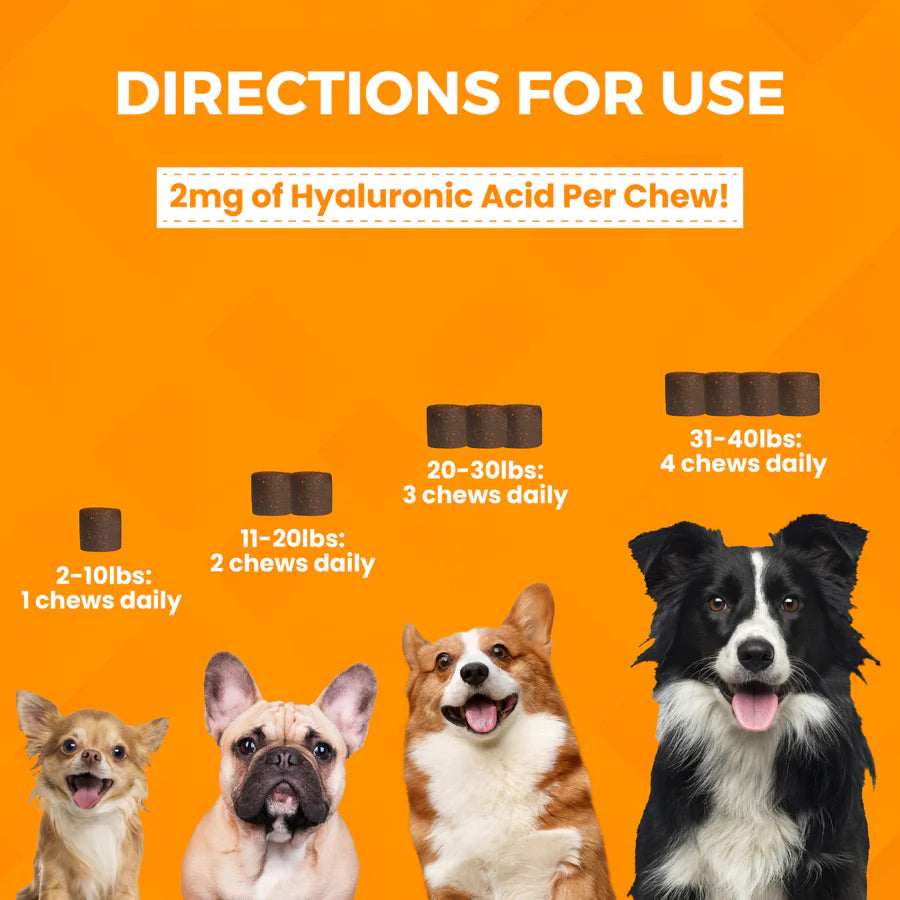 Progility Minis Hip & Joint Soft Chews for Small to Medium Dogs