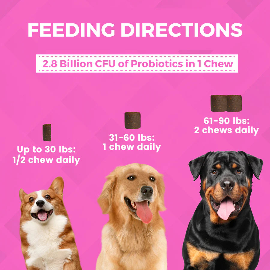 Progility Pre & Probiotics Soft Chews for Dogs