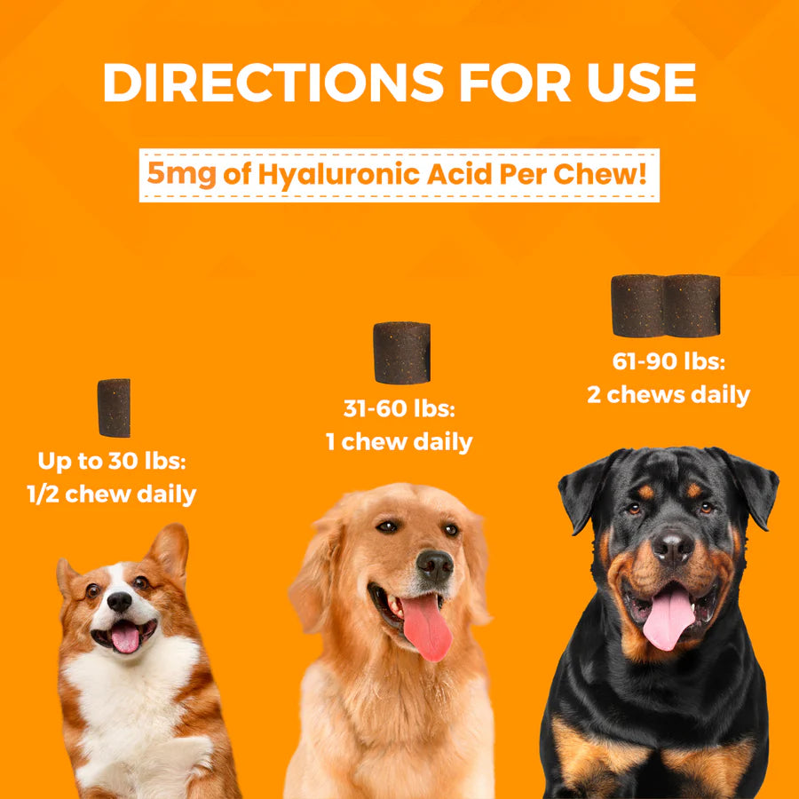 Progility Hip & Joint Soft Chews for dogs