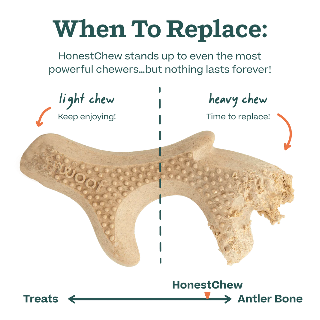 HonestChew Antler