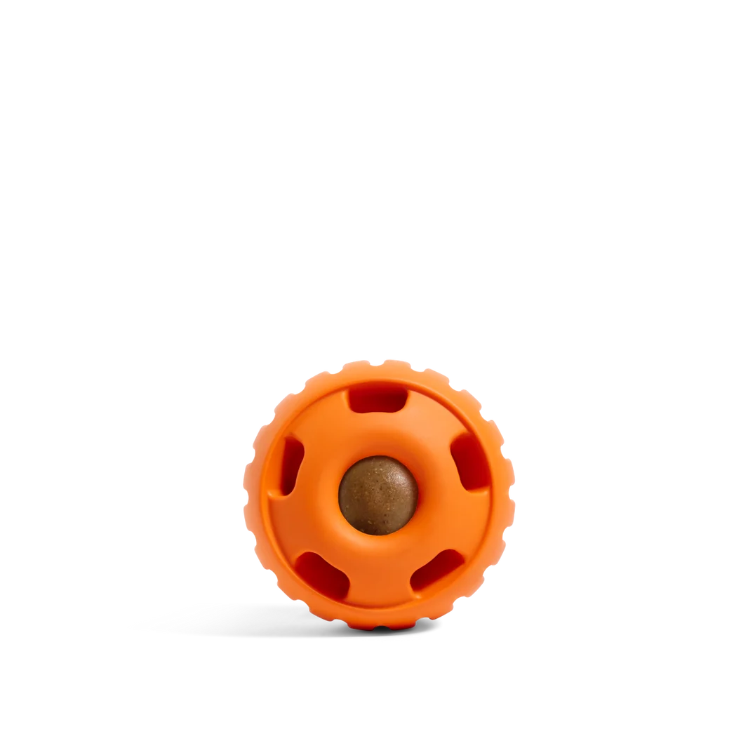 Pumpkin Orange Pupsicle (LIMITED TIME)