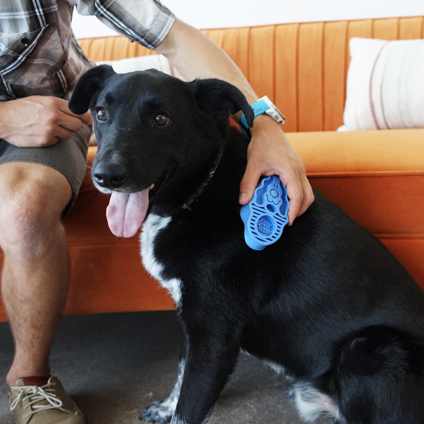 Kong ZOOMGROOM BOYSENBERRY