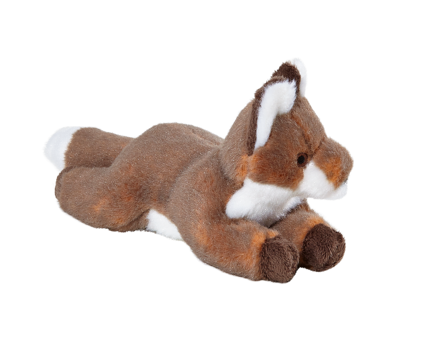 Anderson Fox