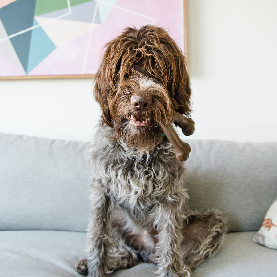 Benebone BACON WISHBONE