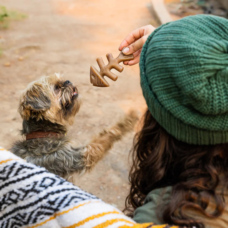 Benebone JACK SALMON FISHBONE