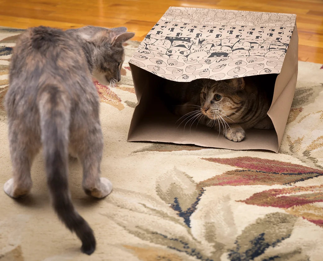 Feline Fun Bag One Pack