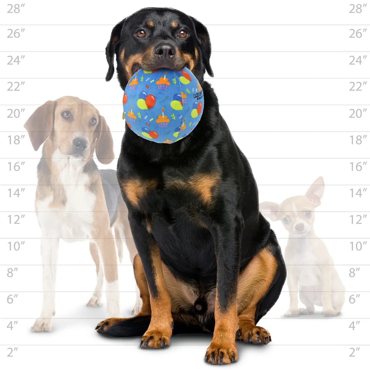 Mighty Ball-Celebration Squeaky Dog Toy, No Stuffing (LARGE)
