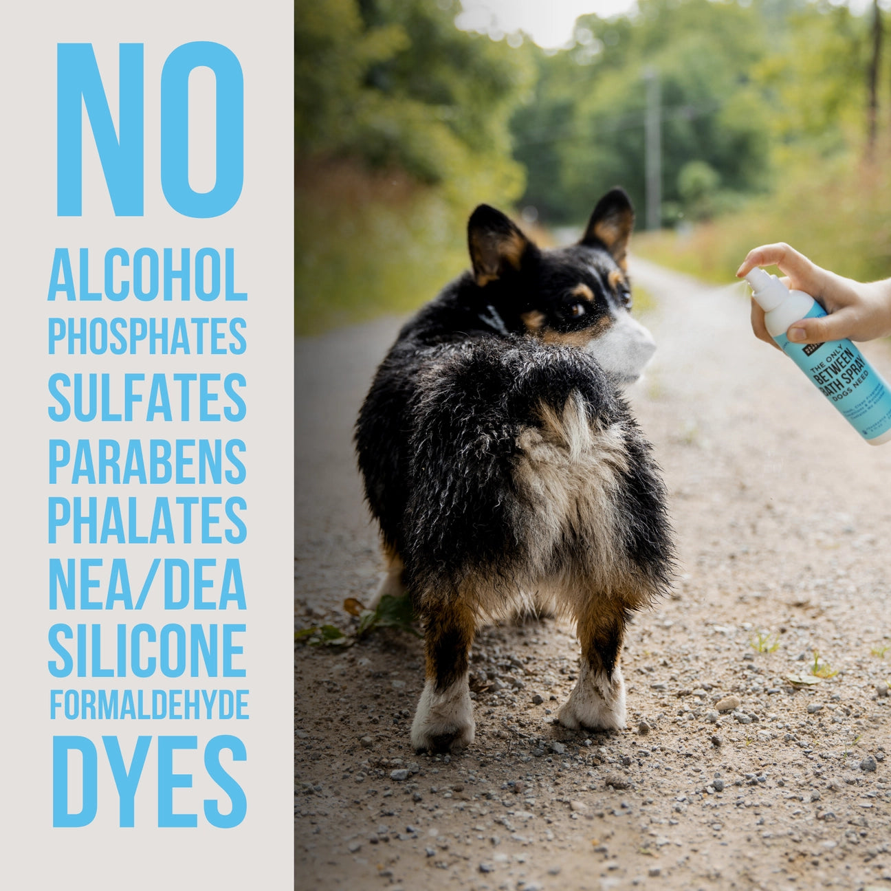 The Only Between Bath Spray Dogs Need - Amber & Sandalwood 3oz