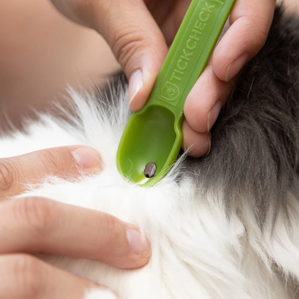 Tick Remover Spoon 3 Pack