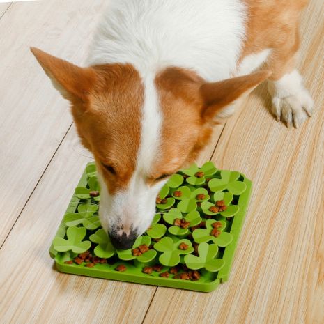 Tall Tails FORAGING MAT FOR DOGS (Spring Clover)