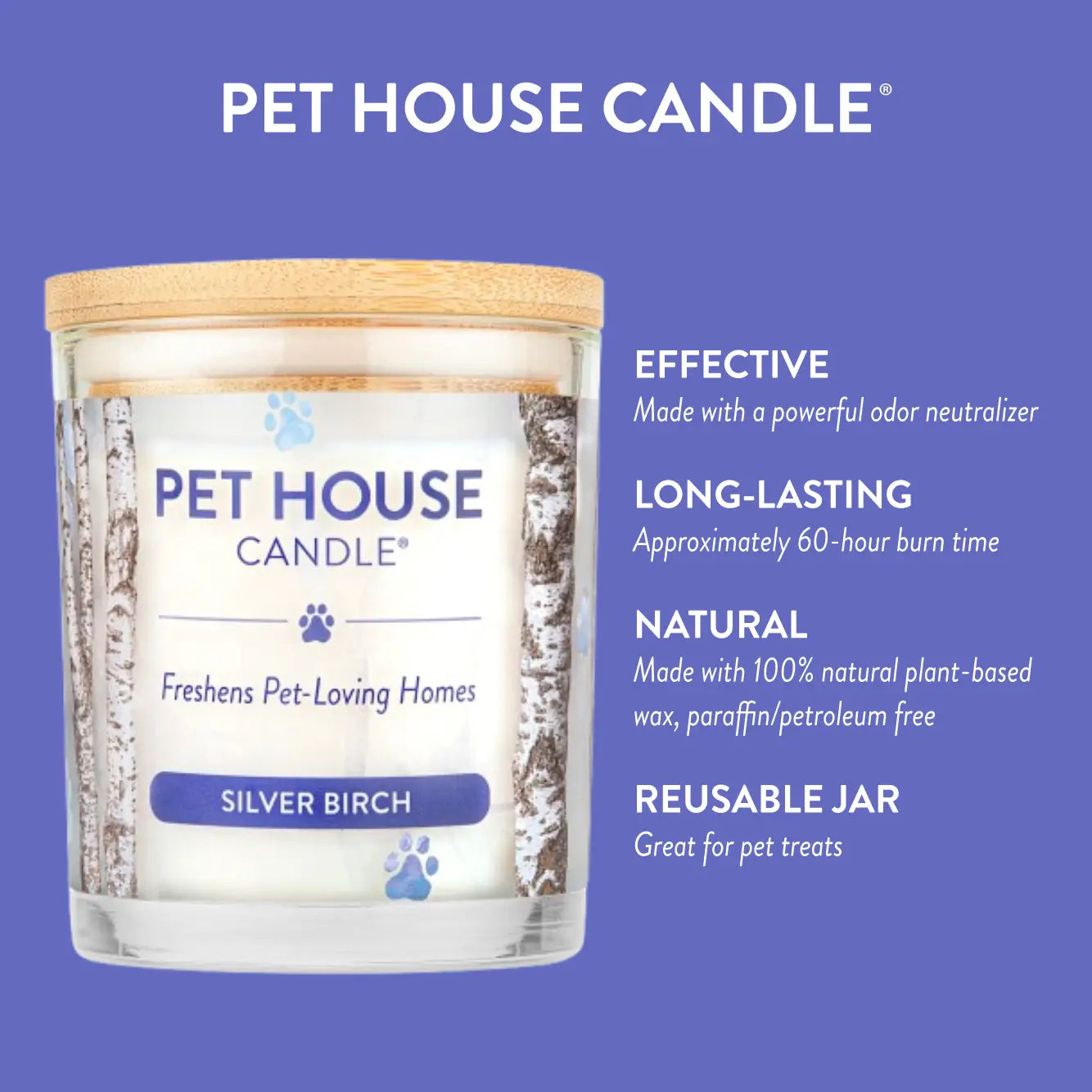 Silver Birch - Pet House 2024 Seasonal Winter Fragrance 9oz Candle