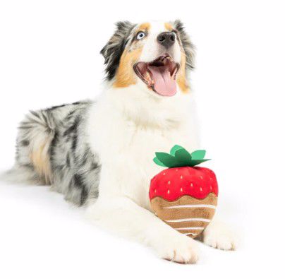 Chocolate Strawberry Dog Toy