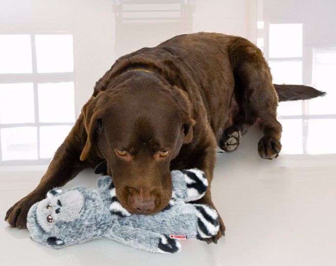 GORILLA JUNGLEJAMZ PLUSH SQUEAK 12.5" M/L DOG TOYS