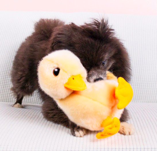 KONG TOUGHZ PLUSH DUCK
