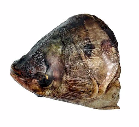 Dehydrated Carp Head 11oz Dog Treat